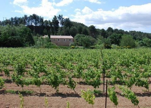 Mailhac Domaine De "Creva-Tinas" B&B 외부 사진