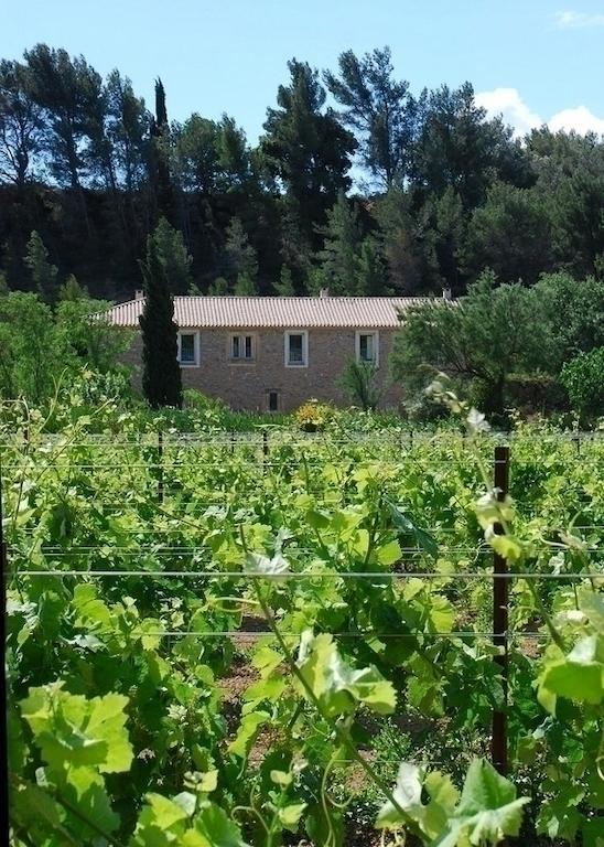 Mailhac Domaine De "Creva-Tinas" B&B 외부 사진