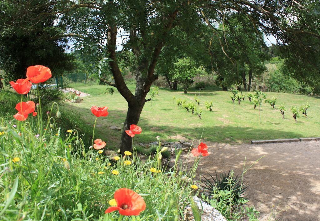 Mailhac Domaine De "Creva-Tinas" B&B 외부 사진